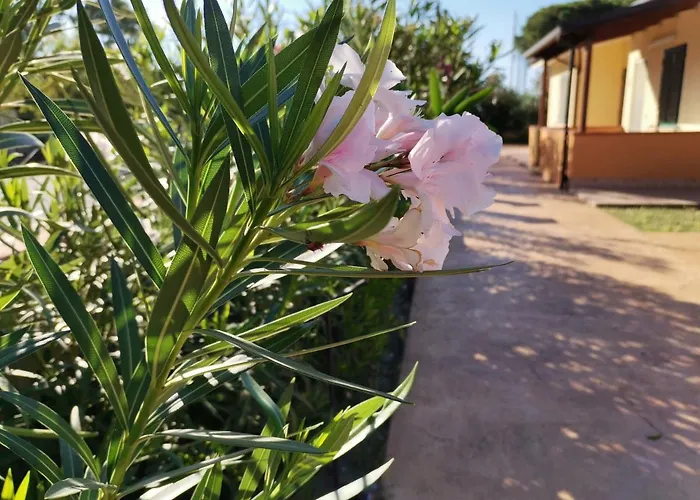 Apartman Le Zagare Cropani