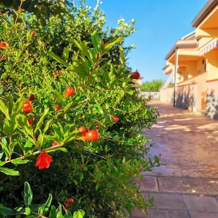 Le Zagare * 克洛帕尼