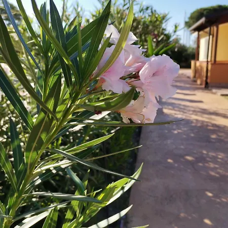 公寓 Le Zagare 克洛帕尼